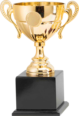 p3-img-trophy a