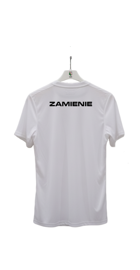 Zamienie